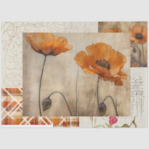 Poppies y repuestos naranjas para desacoplar o rev