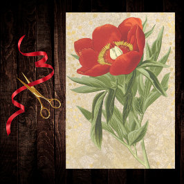 Papel De Seda Poppy on Gold Dotted Damask Red Gold Vintage