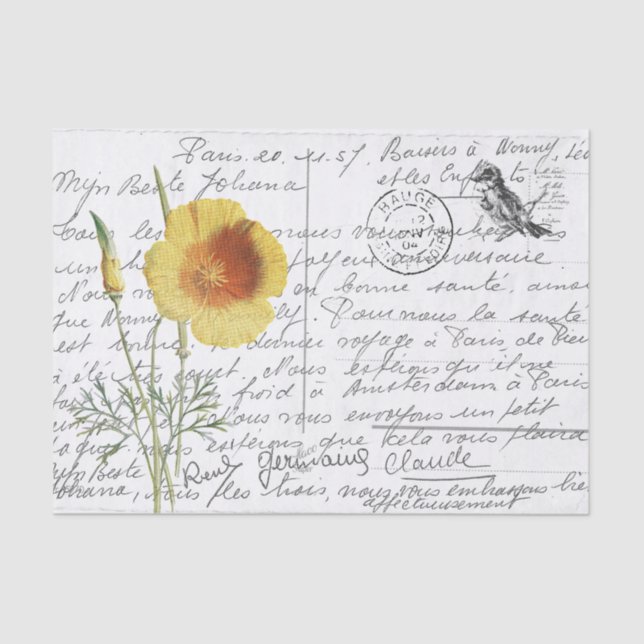 Papel De Seda Postal con amapola amarilla de escritura francesa (Anverso)
