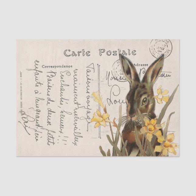 Papel De Seda Postal Daffodil de Conejo de Pascua Francés (Anverso)