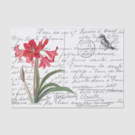 Papel De Seda Postal de Aves Amaryllis con escritura francesa