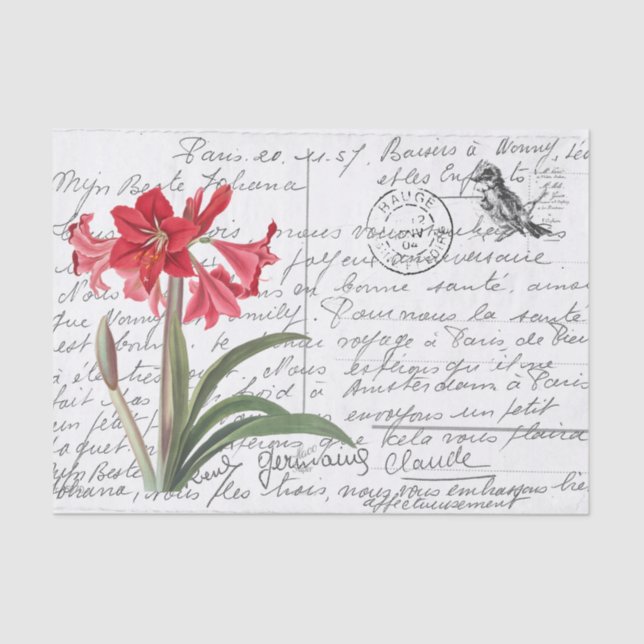 Papel De Seda Postal de Aves Amaryllis con escritura francesa (Anverso)