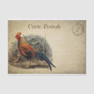 Papel De Seda Postal de desempate de pollo francés vintage