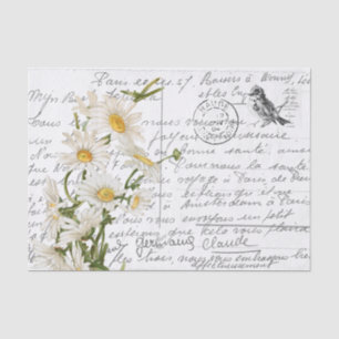 Papel De Seda Postal de la flor de margarita de estilo francés
