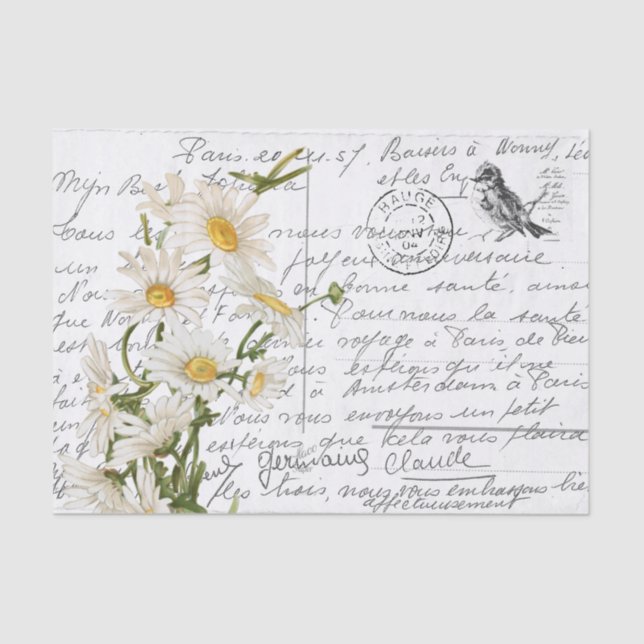 Papel De Seda Postal de la flor de margarita de estilo francés (Anverso)