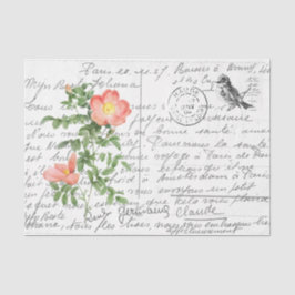 Papel De Seda Postal de pájaro de Rosa Briar con escritura franc