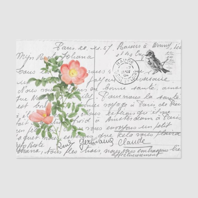 Papel De Seda Postal de pájaro de Rosa Briar con escritura franc (Anverso)