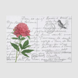 Papel De Seda Postal de pájaro peony vintage de escritura france
