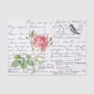 Papel De Seda Postal de pájaro Rosa de Cumberland rosa manuscrit