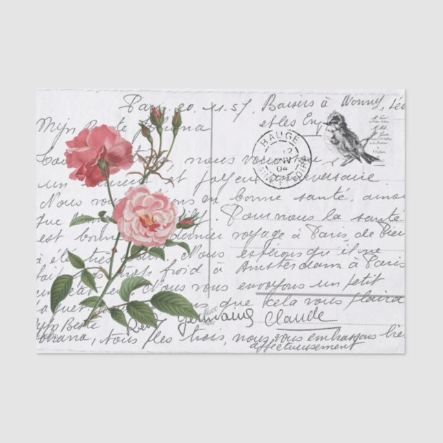 Papel De Seda Postal de pájaro Rosa de escritura francesa (Anverso)