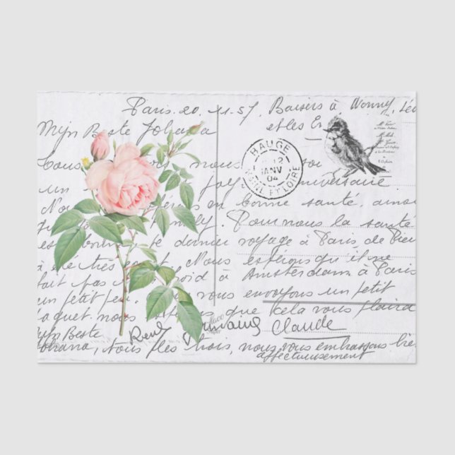 Papel De Seda Postal de pájaro Rosa fragante de escritura france (Anverso)