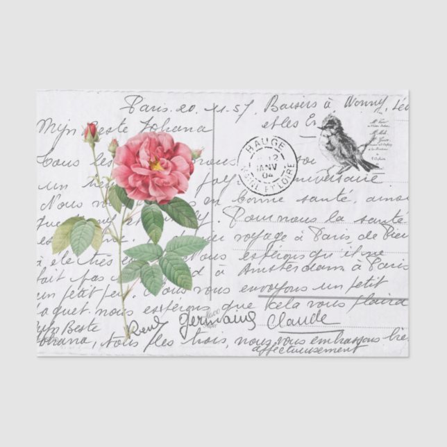 Papel De Seda Postal de pájaro Rosa francés con escritura france (Anverso)