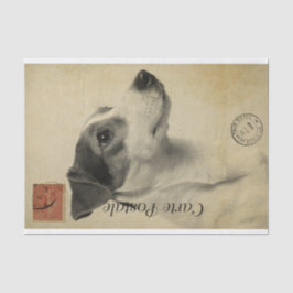 Papel De Seda Postal francesa Ephemera Jack Russel Terrier Dog