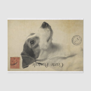 Papel De Seda Postal francesa Ephemera Jack Russel Terrier Dog