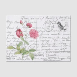 Papel De Seda Postal para pájaro de rosas rosadas de escritura f