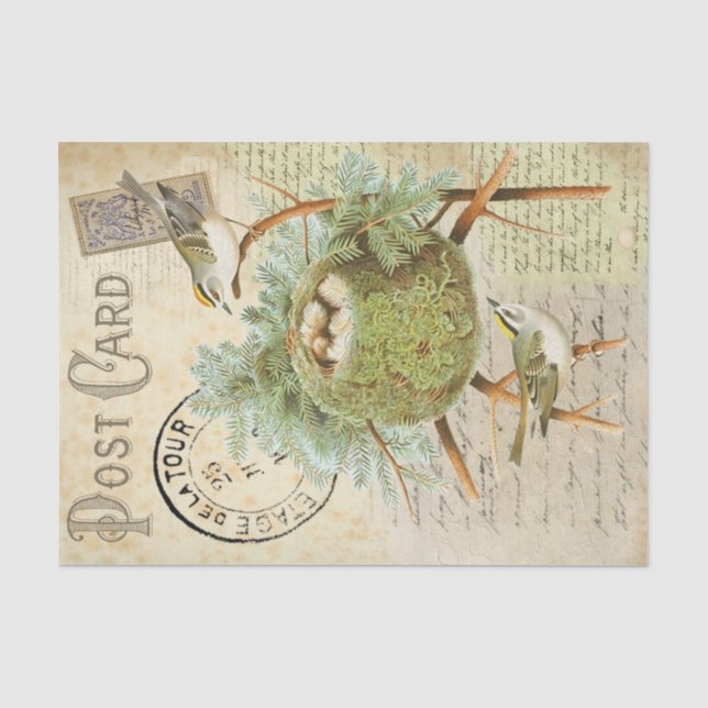 Papel De Seda Postcarta de pájaro anidante (Anverso)