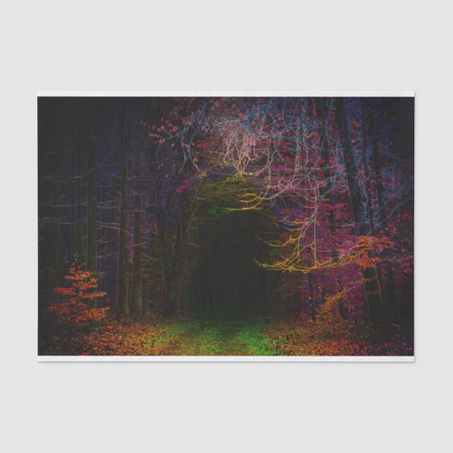 Papel De Seda Poster de paisajes forestales nocturnos (Anverso)