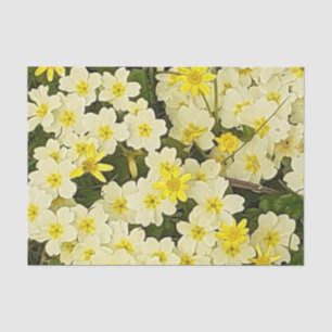 Papel De Seda Primario de primavera