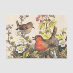 Papel De Seda Primavera Robin Birds Red Birds