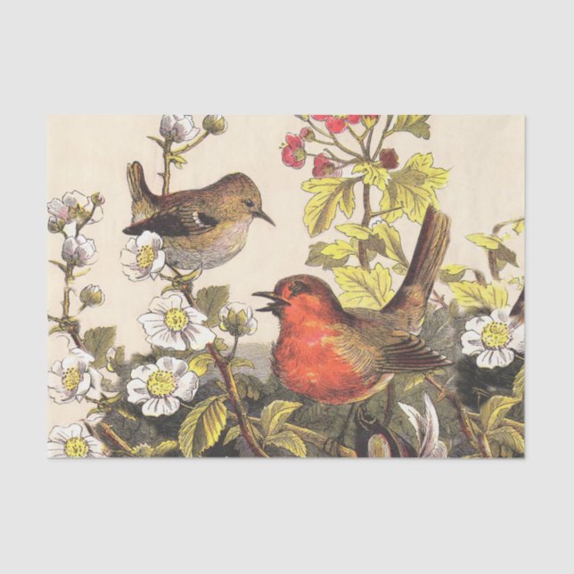 Papel De Seda Primavera Robin Birds Red Birds (Anverso)