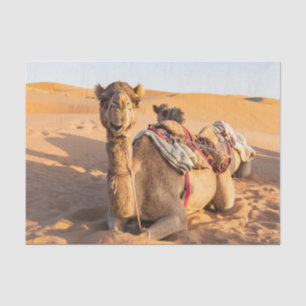 Papel De Seda Primer plano de camello divertido en el desierto d