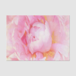 Papel De Seda Primer plano de peonía rosa