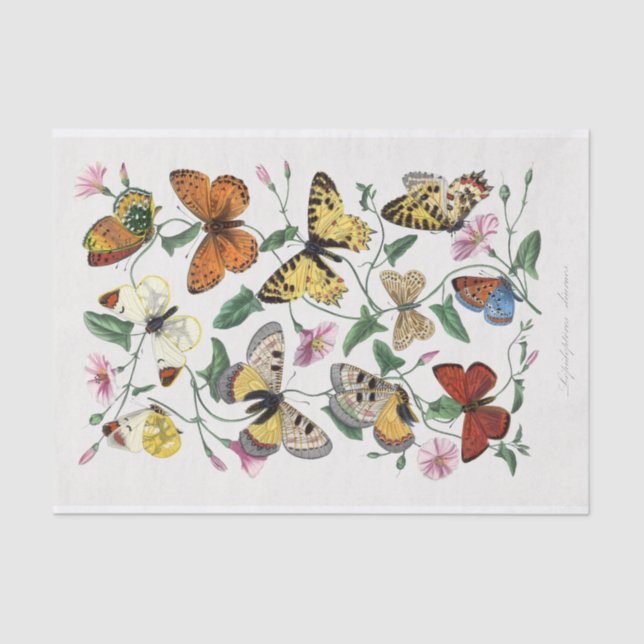 Papel De Seda Profusión de mariposas entre flores rosadas (Anverso)