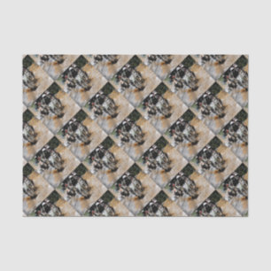 Papel De Seda ¡Próximamente! - Motocross Racer