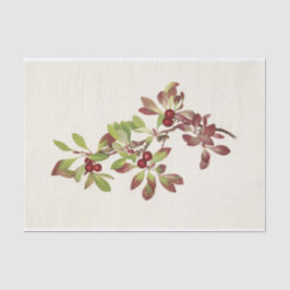 Papel De Seda Ptarmiganberry por Mary Vaux Walcott
