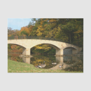 Papel De Seda Puente Arcoíris en Otoño en Grove City College