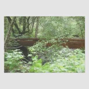 Papel De Seda Puente Muir Woods I