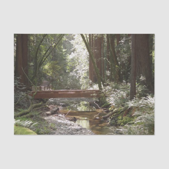 Papel De Seda Puente Muir Woods II (Anverso)