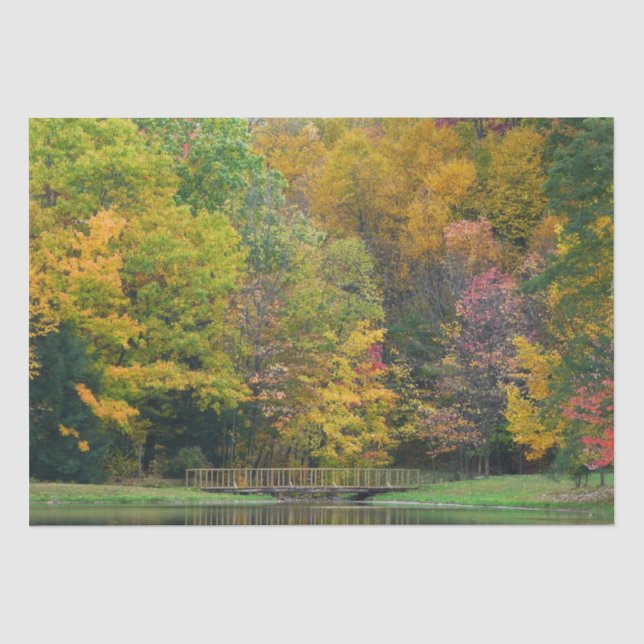 Papel De Seda Puente Seven Springs Fall II Paisaje de Otoño (Anverso)