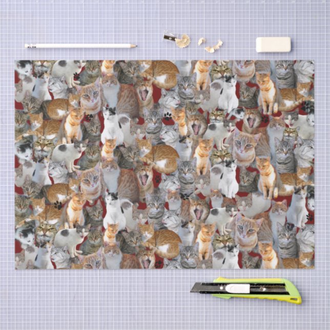 Papel De Seda Punto de encuentro de gatos - lindo (Artesanía)