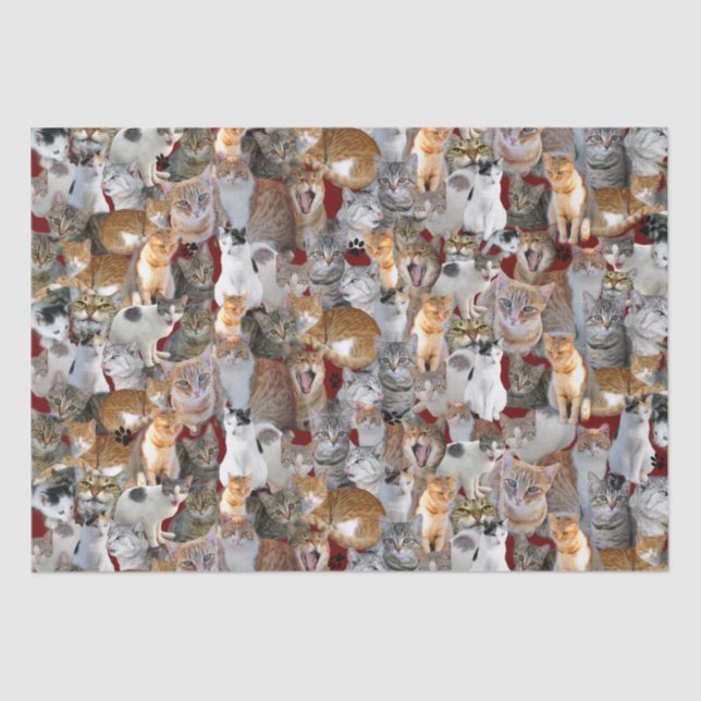 Papel De Seda Punto de encuentro de gatos - lindo (Anverso)