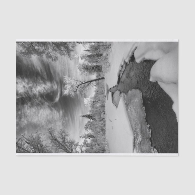 Papel De Seda Pure Campbell Creek (Anverso)
