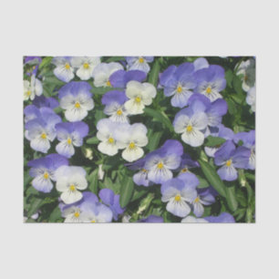 Papel De Seda Purple Pansies Garden Floral