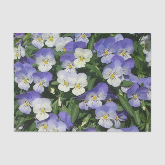 Papel De Seda Purple Pansies Garden Floral (Anverso)