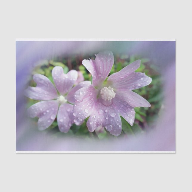 Papel De Seda Púrpura brillante (Anverso)