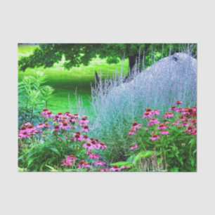 Papel De Seda Púrpura Perovskia y Echinacea