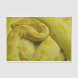 Papel De Seda Python birmano amarillo