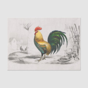 Papel De Seda ¡Qué destacado! Gallo Real en una Pose Arrogante