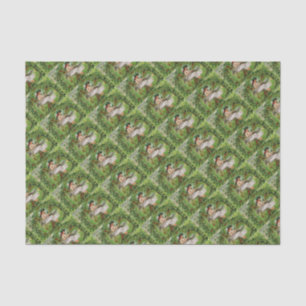 Papel De Seda Querido Pequeño Shamrock