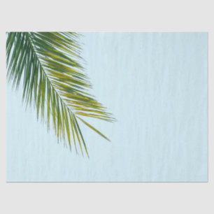 Papel De Seda rama de palmera