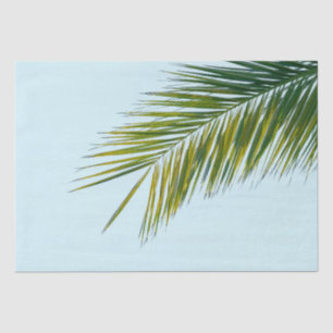 Papel De Seda Rama de palmera