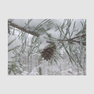 Papel De Seda Rama de pino nevada Fotografía de la naturaleza in