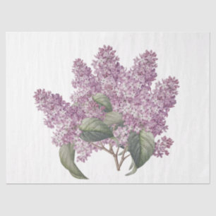 Papel De Seda Ramo de lilas rosadas botánicas vintage decoupage