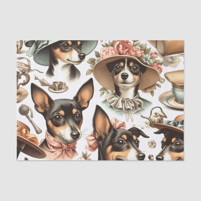 Papel De Seda Rat Terrier Viejo Sin Marea (Anverso)