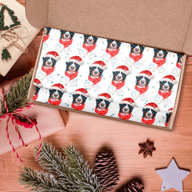 Papel De Seda Raza de perro de montaña bernés Navidad (Subido por el creador)