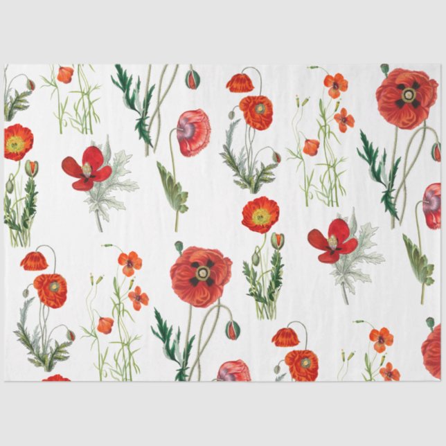 Papel De Seda Red Watercolor Poppies Florals (Anverso)